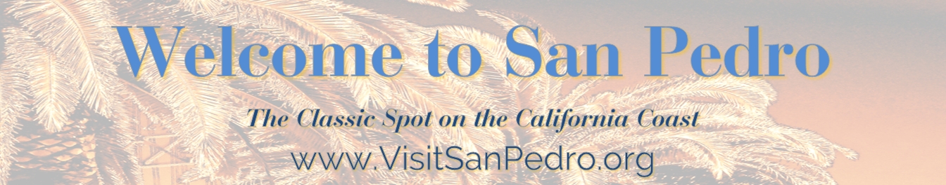 Welcome to San Pedro banner with palm tree