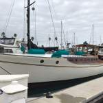 Yacht Edna photo